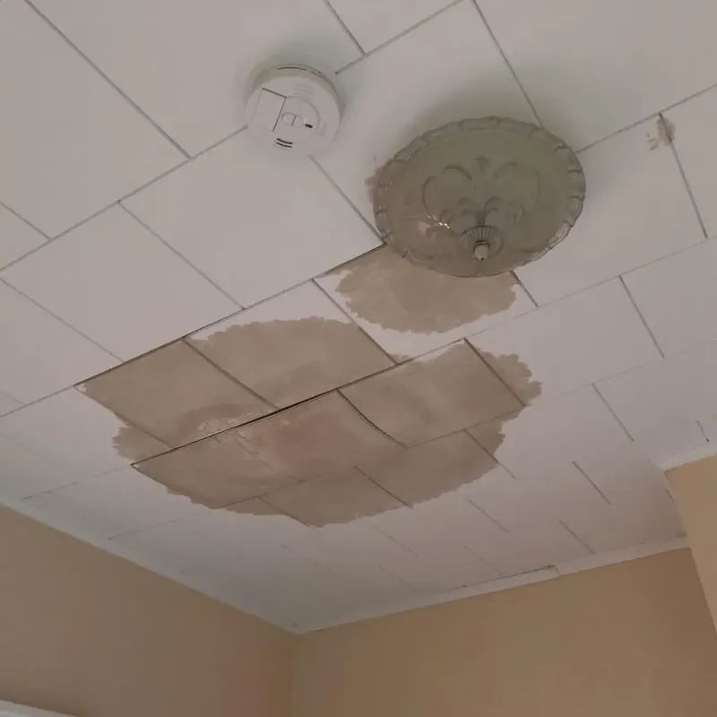 Ceiling Water Damage Repair in Chalkville, AL