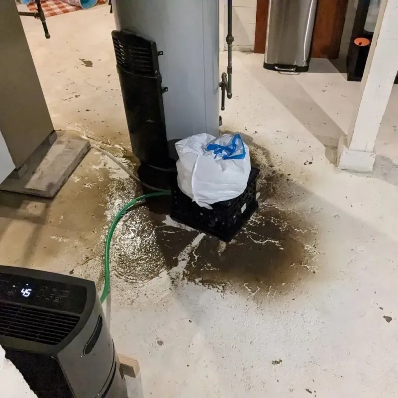 Sewage Backup Cleanup Service in Chalkville, AL